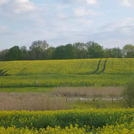 Guest house Haus Am Teich 3*