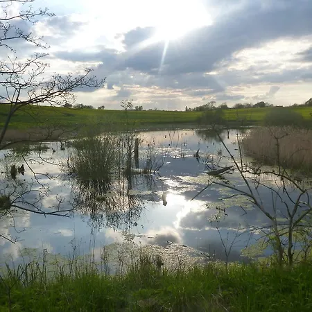 Haus Am Teich Gæstehus Gross Grabow